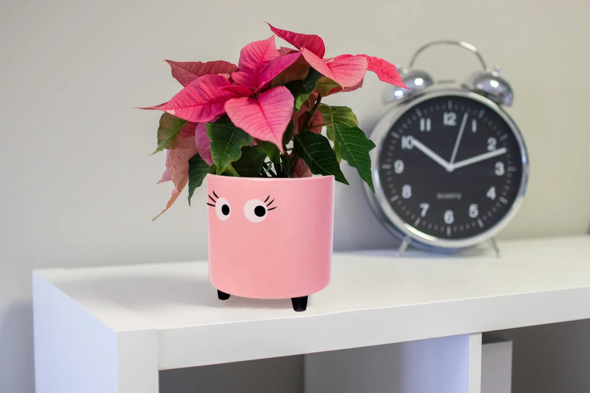 Eyes Plant Pot - Pink