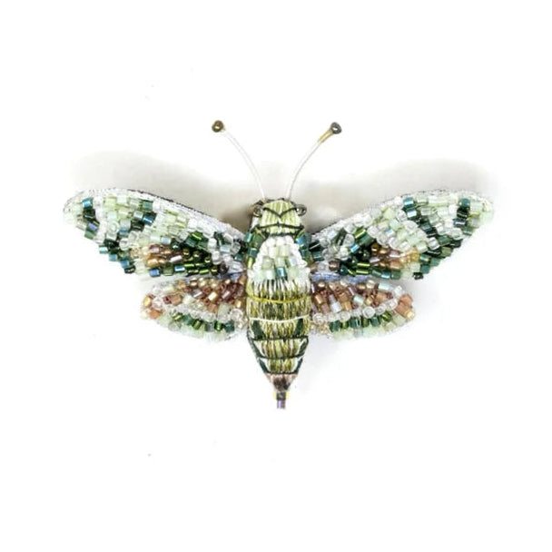 Hawk Moth Brooch Pin