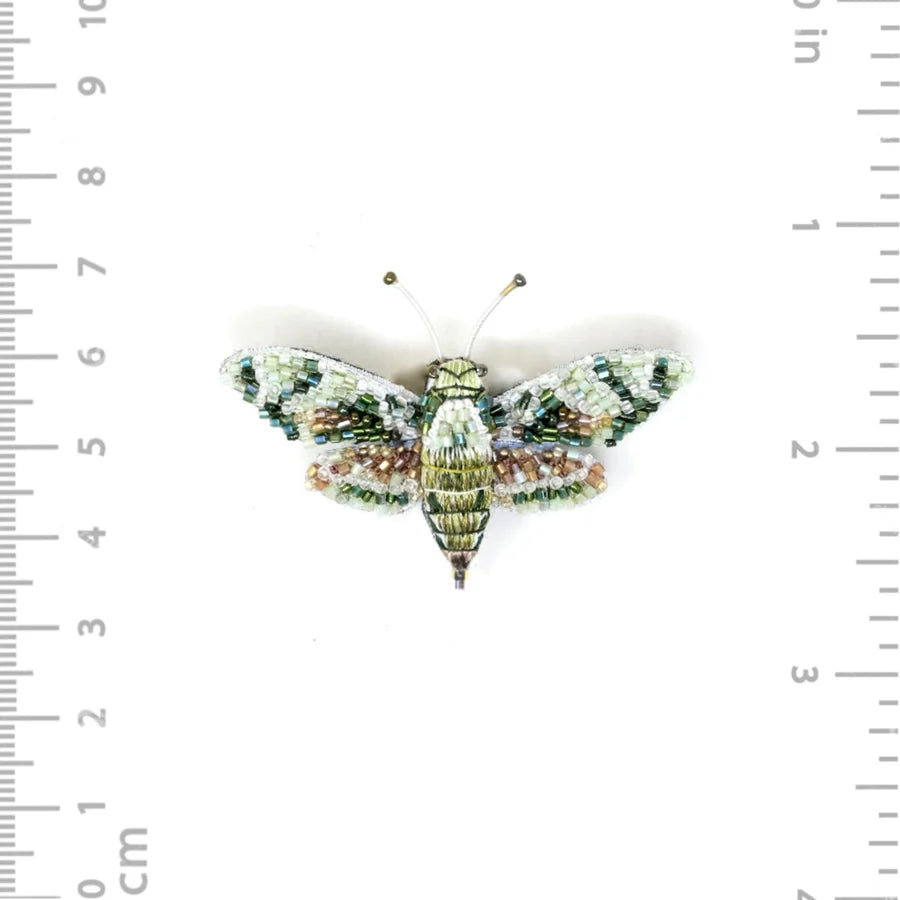 Hawk Moth Brooch Pin
