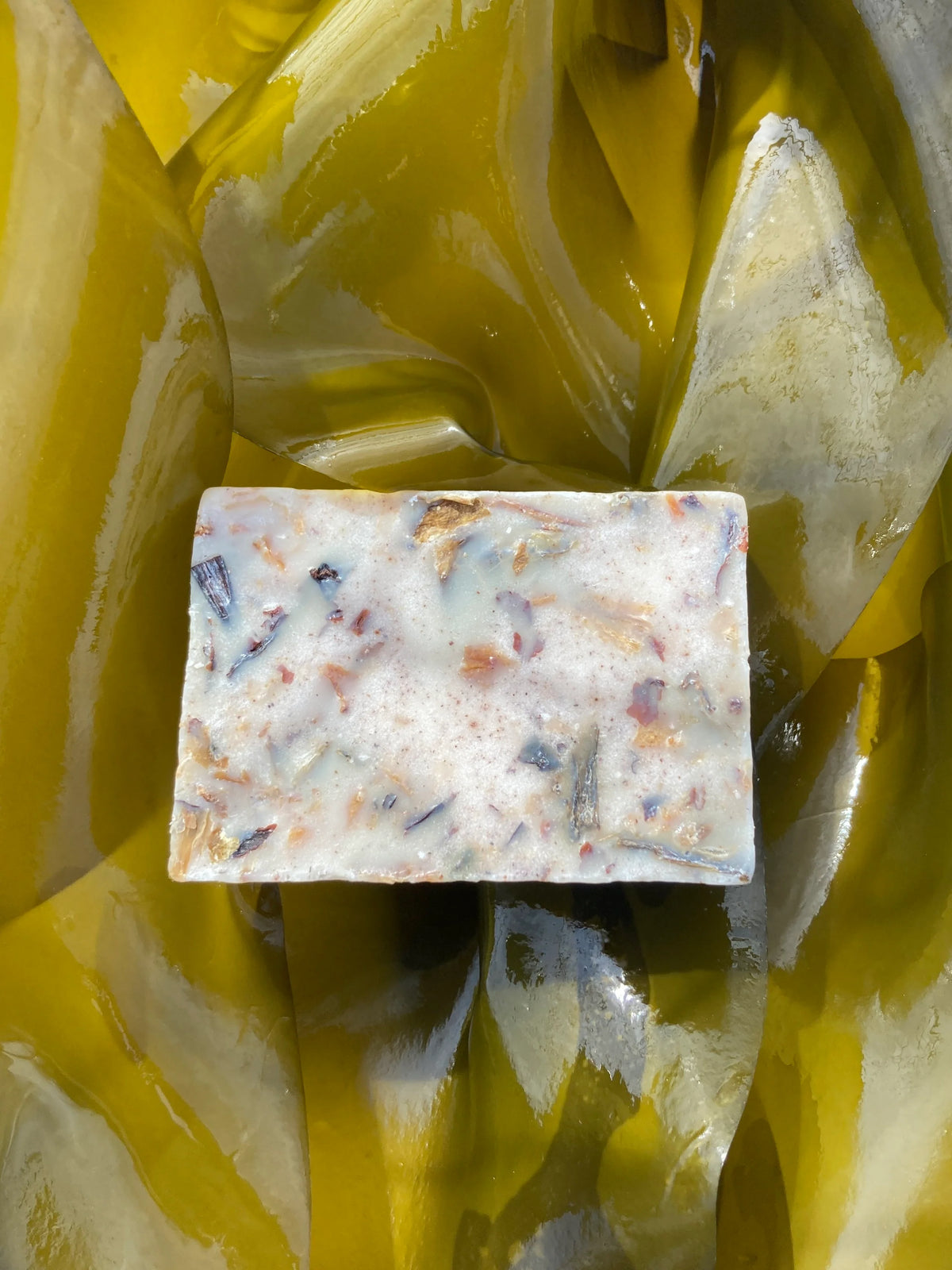 Kelp + Oatmeal Body Bar