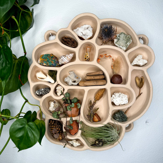 Sand No. 1 Cement Shelf of Inspiration